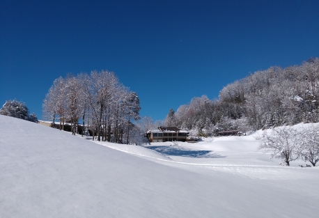 waterfall at lake burton